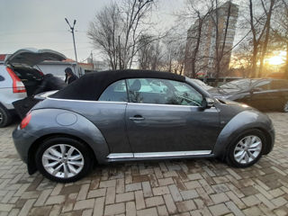 Volkswagen Beetle foto 18