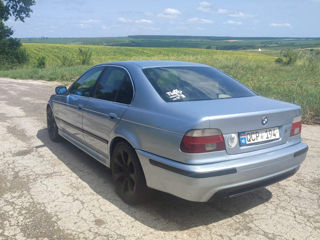 BMW 5 Series foto 3