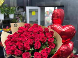 Trandafiri rosii 70/80/90/100/120cm inaltimeI ! Pret de import