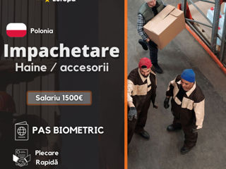 consultareue