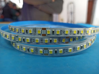 Banda LED la cel mai accesibil pret!! 5V, 12V, 24V, 220V! Лед лента по самым выгодным ценам!!! foto 6