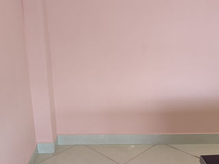 Покраска стен ,потолков ,качественно и аккуратно foto 8