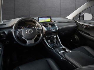 Lexus NX Series foto 6