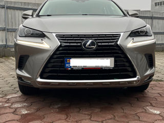 Lexus NX Series