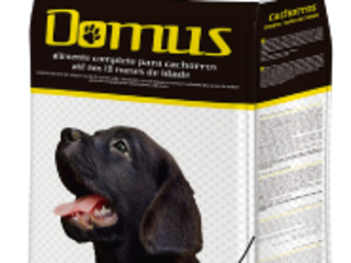 ectoline flea treatment