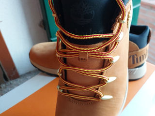 Timberland foto 3