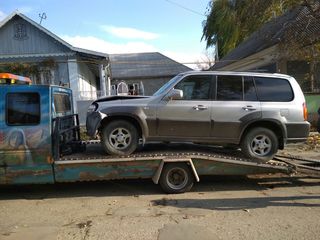 Hyundai Terracan Kia Carnival