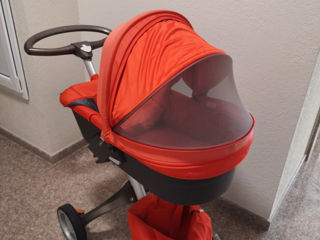 olx stokke xplory