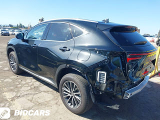 Lexus NX Series foto 7