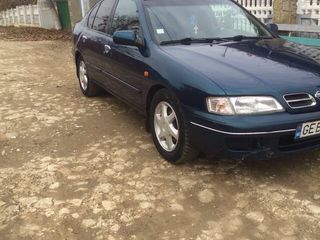 Nissan Primera foto 6