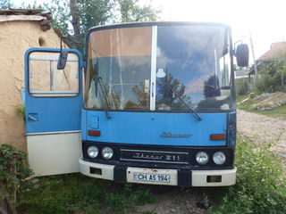 Ikarus foto 3