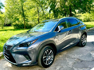 Lexus NX Series foto 3