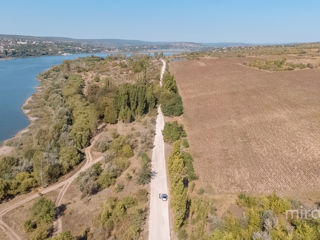 Se vinde teren Agricol în Danceni! foto 2