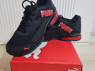 Puma foto 2