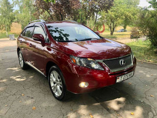 Lexus RX Series