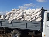 Transport de marfuri: Mutari oficii si locuinte,  Evacuare gunoi, Transportare material de construct foto 4