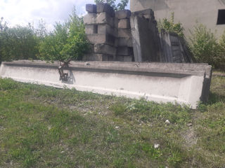 Vand grinzi din beton armat foto 1