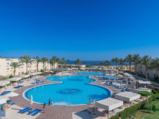 Египет Шарм - Grand Oasis Resort 4*+ -  520 евро - 7 ночей