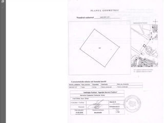 Teren 20 ari, la Drum-artera centrala Orhei (str. Chisinaului) foto 2