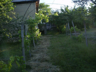 Casă de locuit în s. Isacova r-l Orhei foto 4