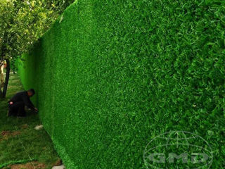 Rabita Iarba Verde ! Gard verde decorativ ! foto 10