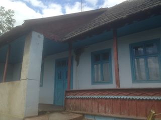 satul Molovata, raionul Dubăsari, Casă de locuit, teren 15,5 ari. 100 m de la rîul Nistru. foto 1