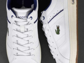 Lacoste оригинал foto 2