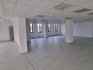Офис Open Space 521 м2 для IT-компании, Call-центра и др. Sfatul Tarii 15 foto 4