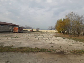 Se vinde Complex Agricol în r-l Telenești (preț negociabil) фото 4