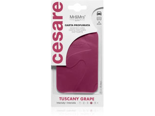 Cesare Tuscany Grape card parfumat