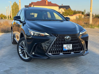 Lexus NX Series