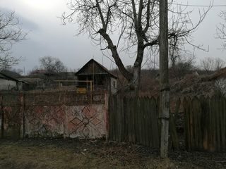 Vind teren pentru constructii in satul Panasesti 7 ari . foto 2