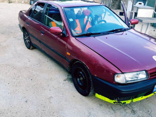 Nissan Primera foto 8