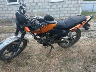 Viper 150cc foto 5