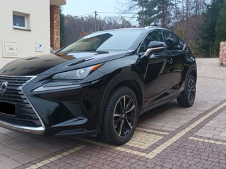 Lexus NX Series