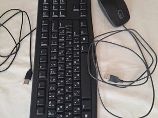 Tastatura + Mouse Logitech K120 Black, Keyboard for Business, USB foto 3