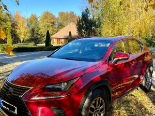 Lexus NX Series foto 5