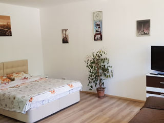 Apartament cu 1 cameră, 35 m², Centru, Bălți foto 9