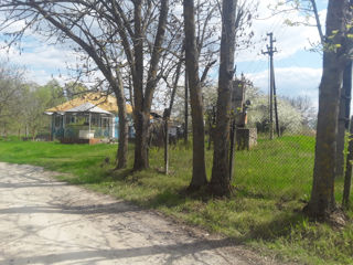 2 case alaturi,r-nul Donduseni, satul Arionesti,str.Independentei (42,si 44 ) foto 1