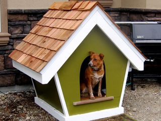 Домик, вольер (конура) для собаки. малые архитектурные формы (беседки, террасы) от prosperitas srl foto 4