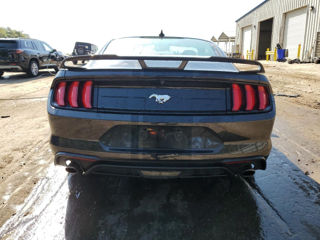 Ford Mustang foto 5