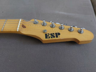 ESP - (Original) made in Japan - Snapper 90's series foto 13