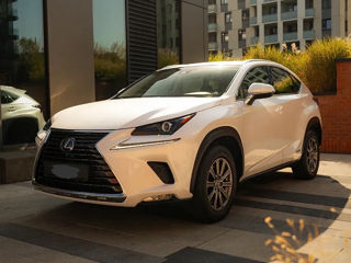 Lexus NX Series foto 3