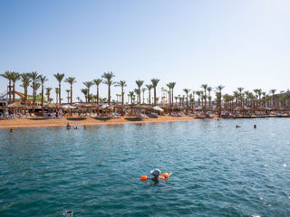 Seti Sharm Resort 4 - Египет, Шарм-эль-Шейх, бухта Шарм Эль Майя. foto 9