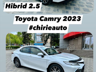 Автопрокат Кишинев/ Прокат Авто/ Inchirieri Auto Chisinau/ Masini in chirie фото 5
