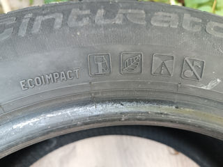 205 60 16, 2019 Pirelli vară 90% foto 5