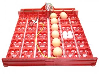 Incubatoare de oua la cele mai mici preturi! La dispozitie modele cu rotire automata foto 8