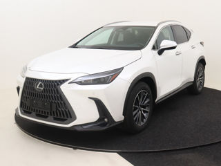 Lexus NX Series