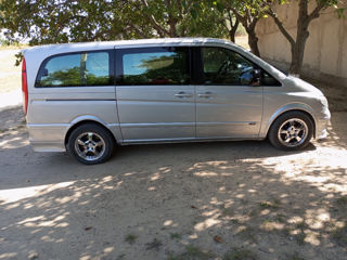 Mercedes Viano foto 10