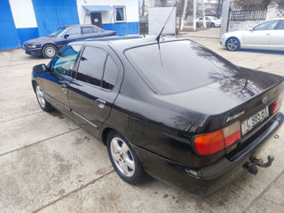 Nissan Primera foto 4